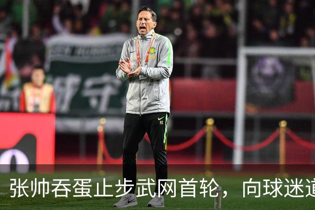 张帅吞蛋止步武网首轮，向球迷道歉，“筋疲力竭，骨头都要碎了”